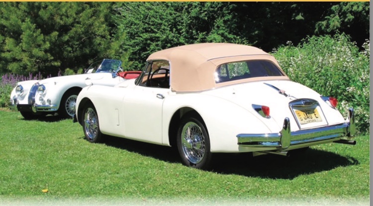Classic Jaguar cars displayed on the lawn during the Cats in the Garden car show at Van Vleck House & Gardens in Montclair.